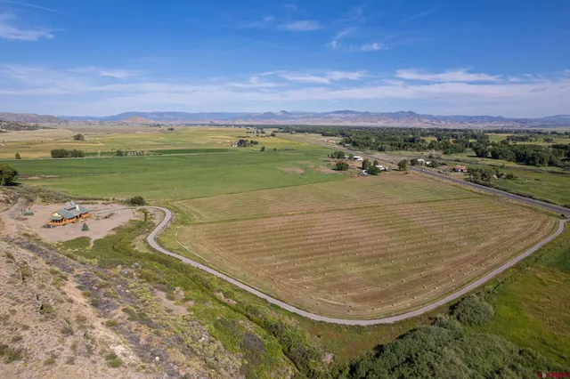 a view of a yard with an ocean beach