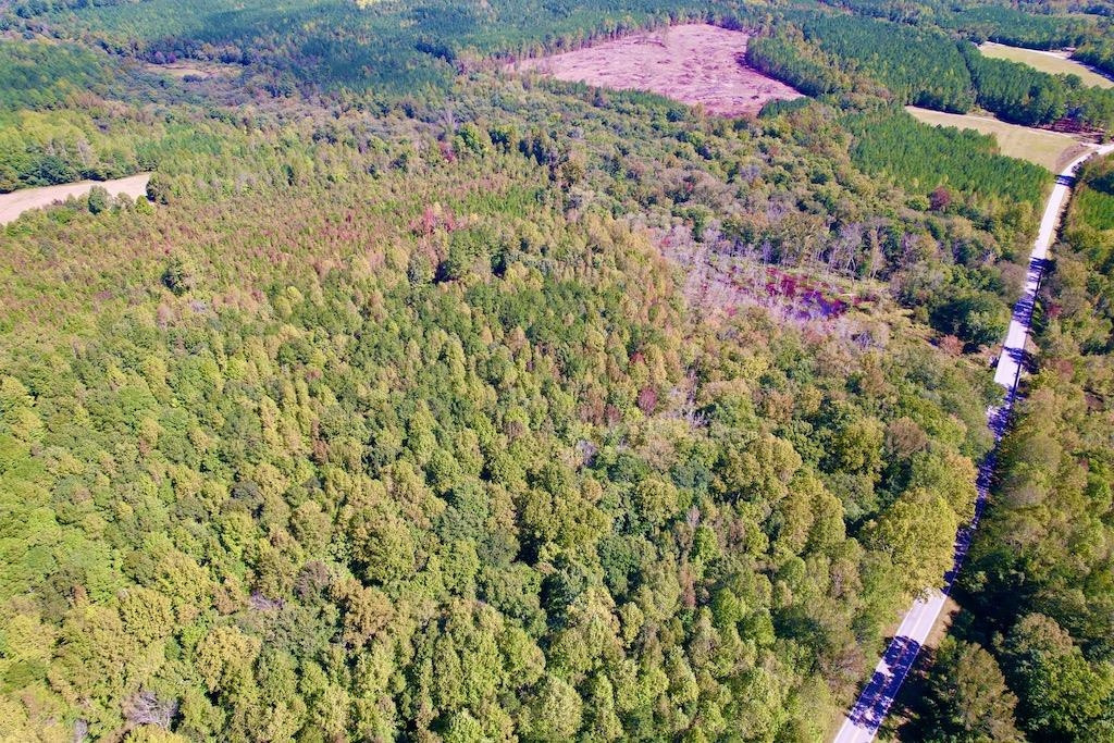 1 Sims Bridge Road Kittrell, NC 27544 - Photo 15 of 30 Photo 15