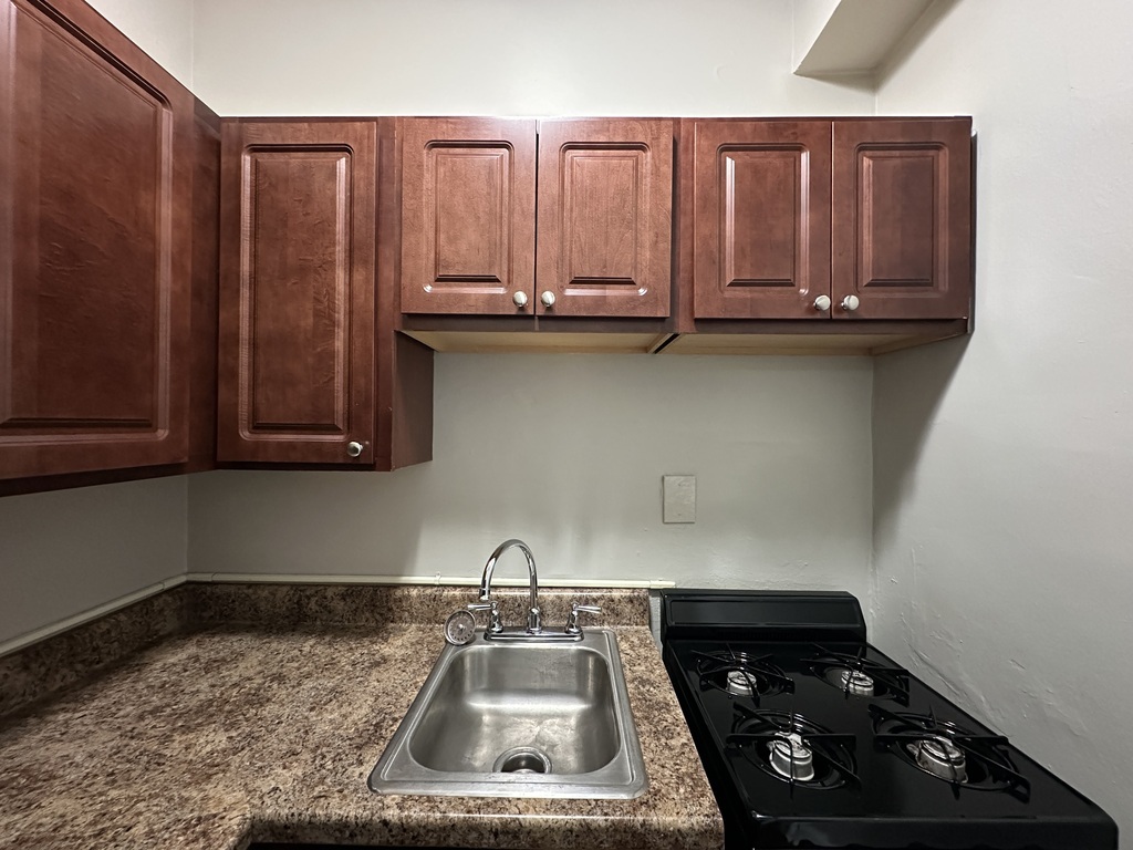 661 West Sheridan Road, Unit 208 Chicago, IL 60613 - Photo 5 of 20 a kitchen with a sink and cabinets