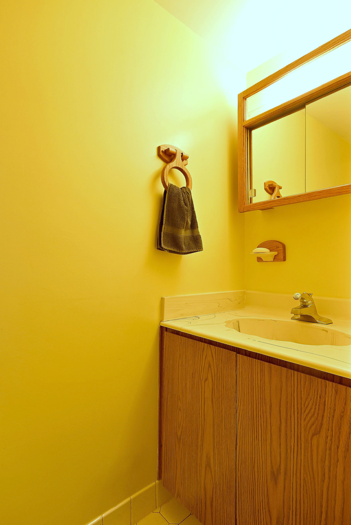 37W208 Olwin Avenue Elgin, IL 60124 - Photo 17 of 37