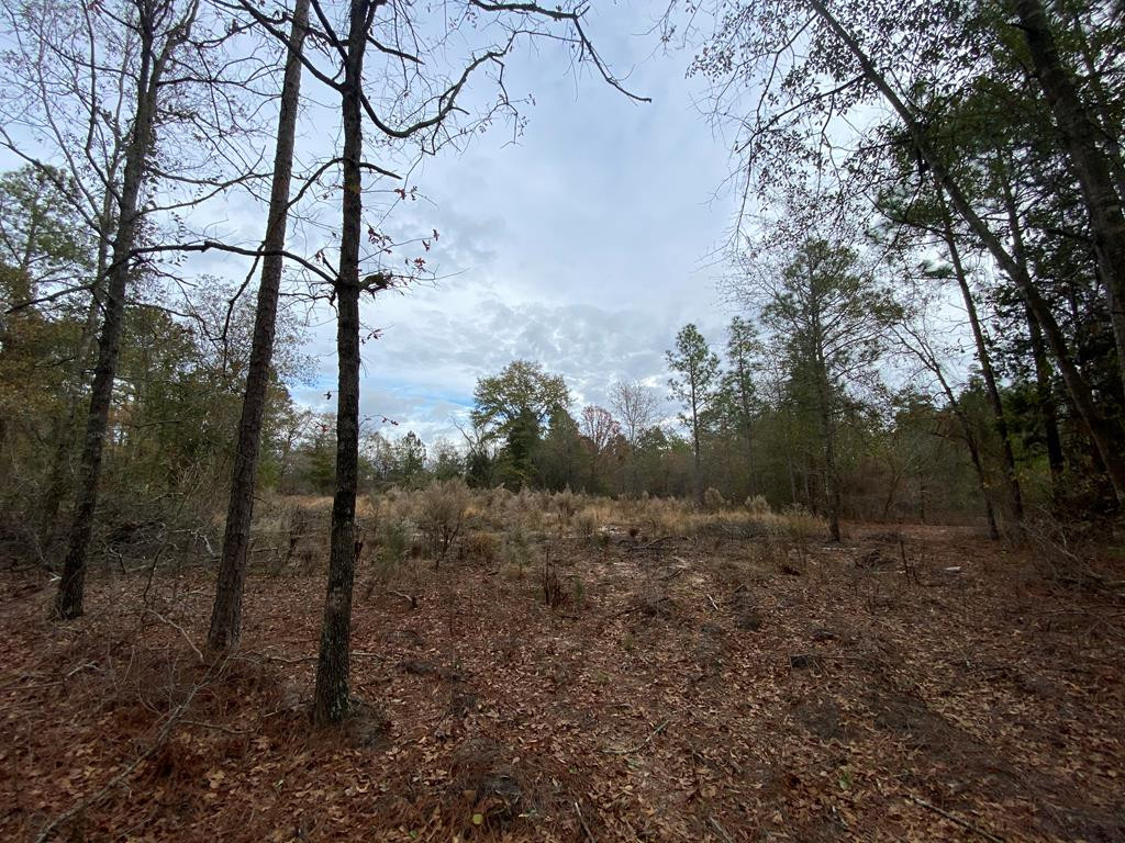 2.44-acres Bacon Road Aiken, SC 29805 - Photo 1 of 6