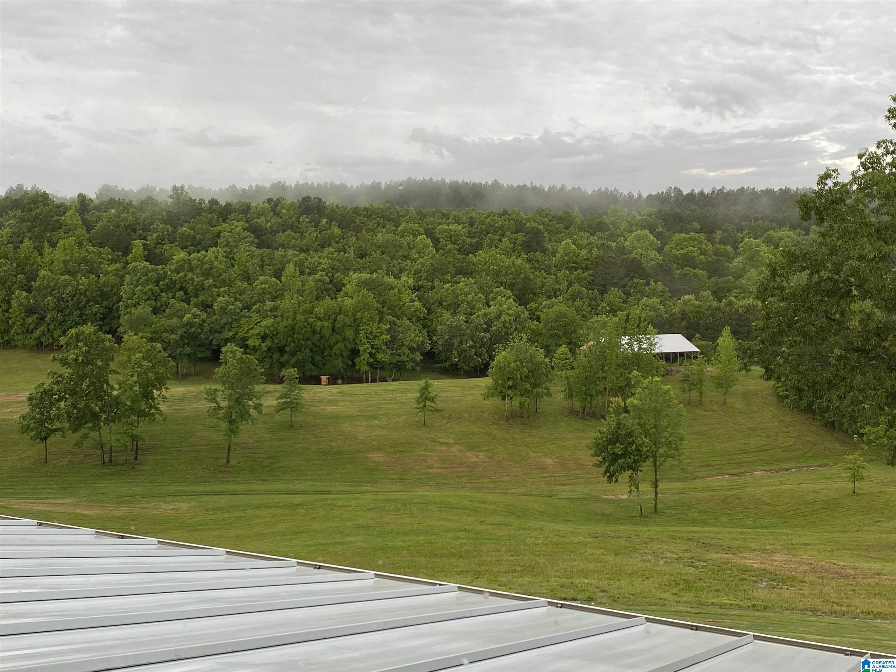 6370 County Road 174 Springville, AL 35146 - Photo 40 of 42