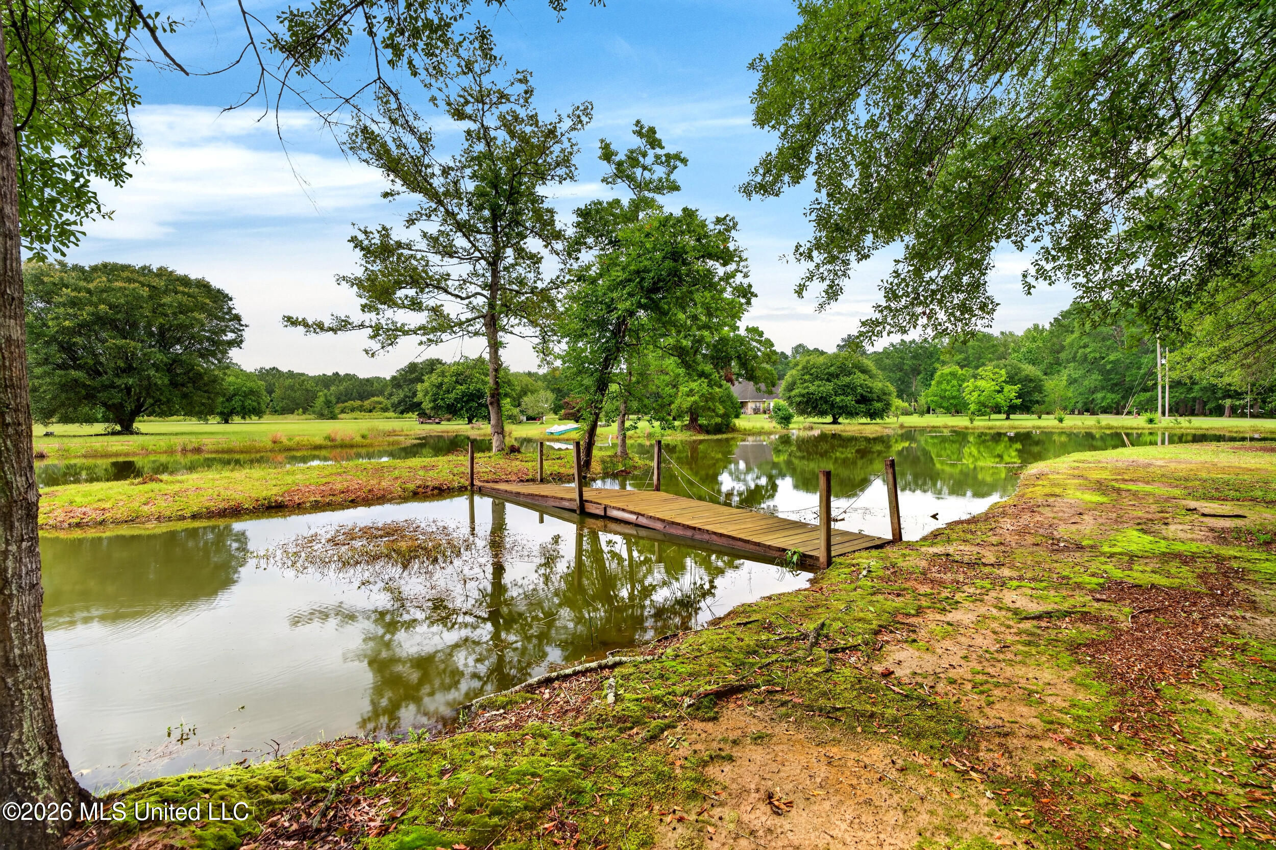 17 JM Carnell Road Poplarville, MS 39470 - Photo 53 of 65 53_53_pond