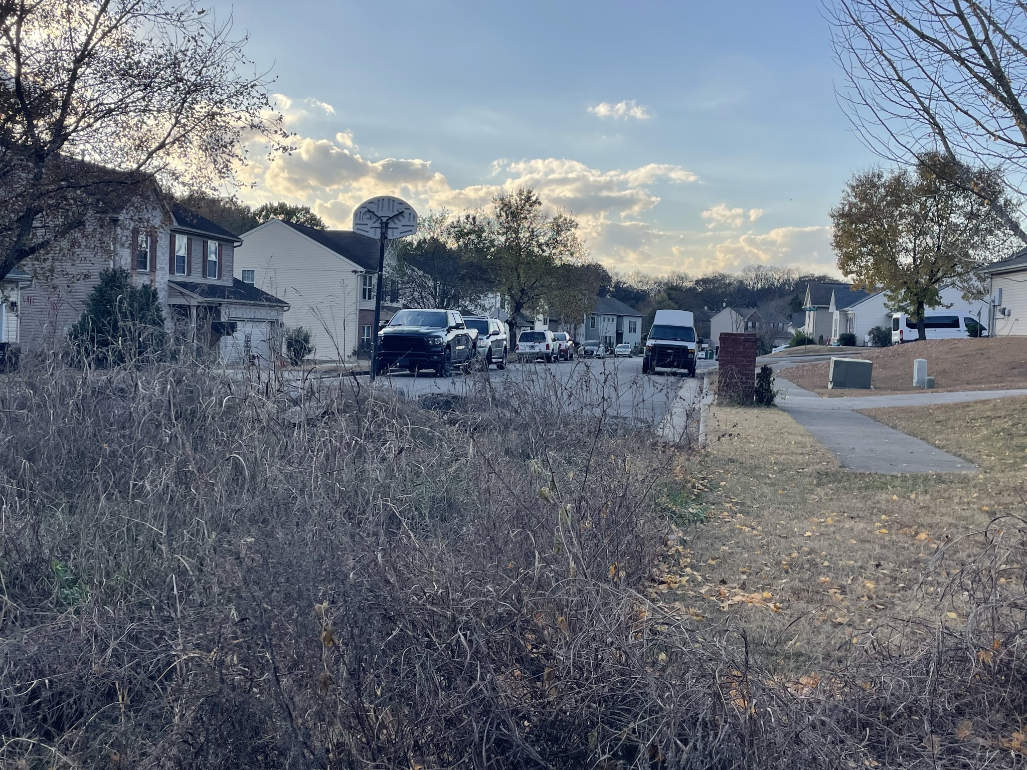 0 Pawnee Trail Madison, TN 37115 - Photo 6 of 13 a view of a house with a yard