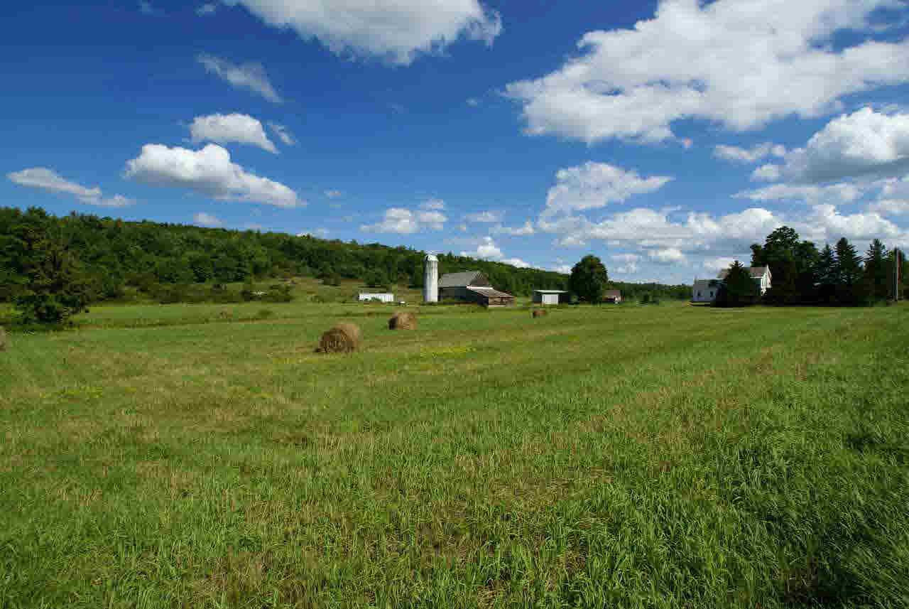 418 County Rte 12 Whitehall, NY 12887 - Photo 12 of 17 Photo 12