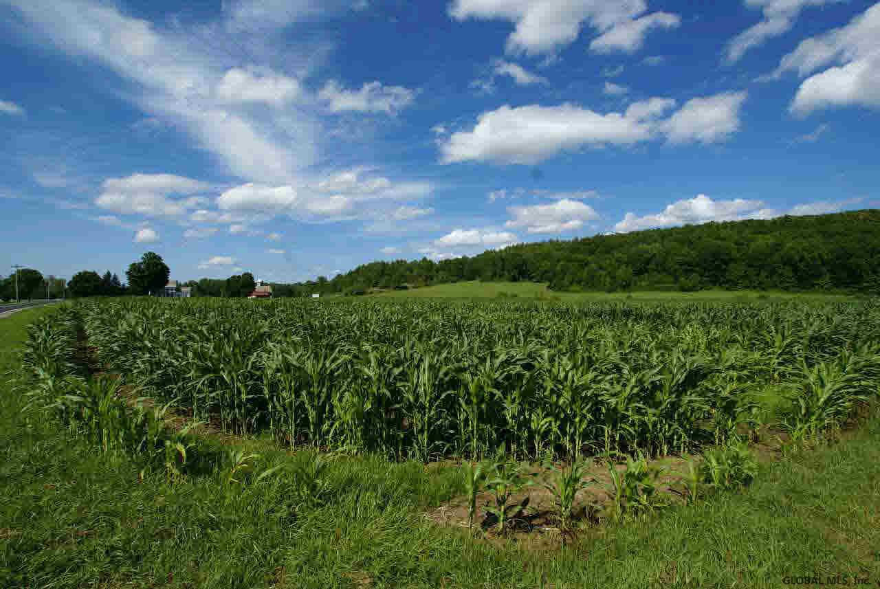 418 County Rte 12 Whitehall, NY 12887 - Photo 10 of 17 Photo 10
