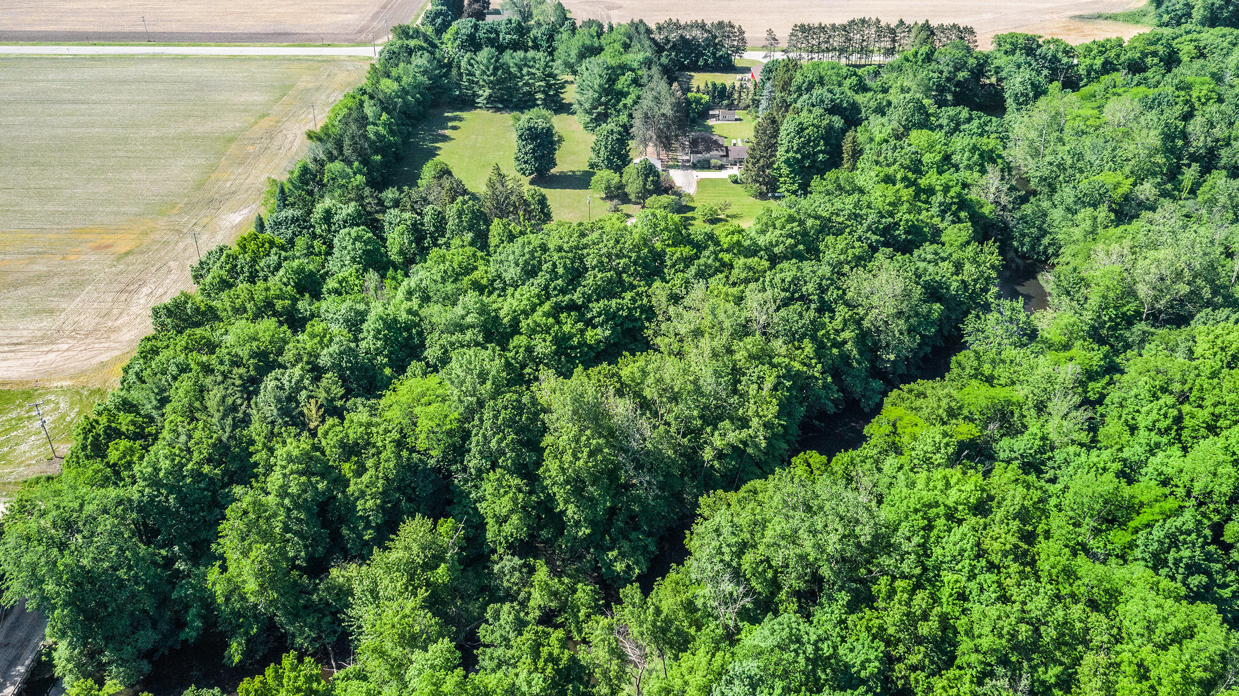 54170 Olney Road Leonidas, MI 49066 - Photo 47 of 51 DJI_0148