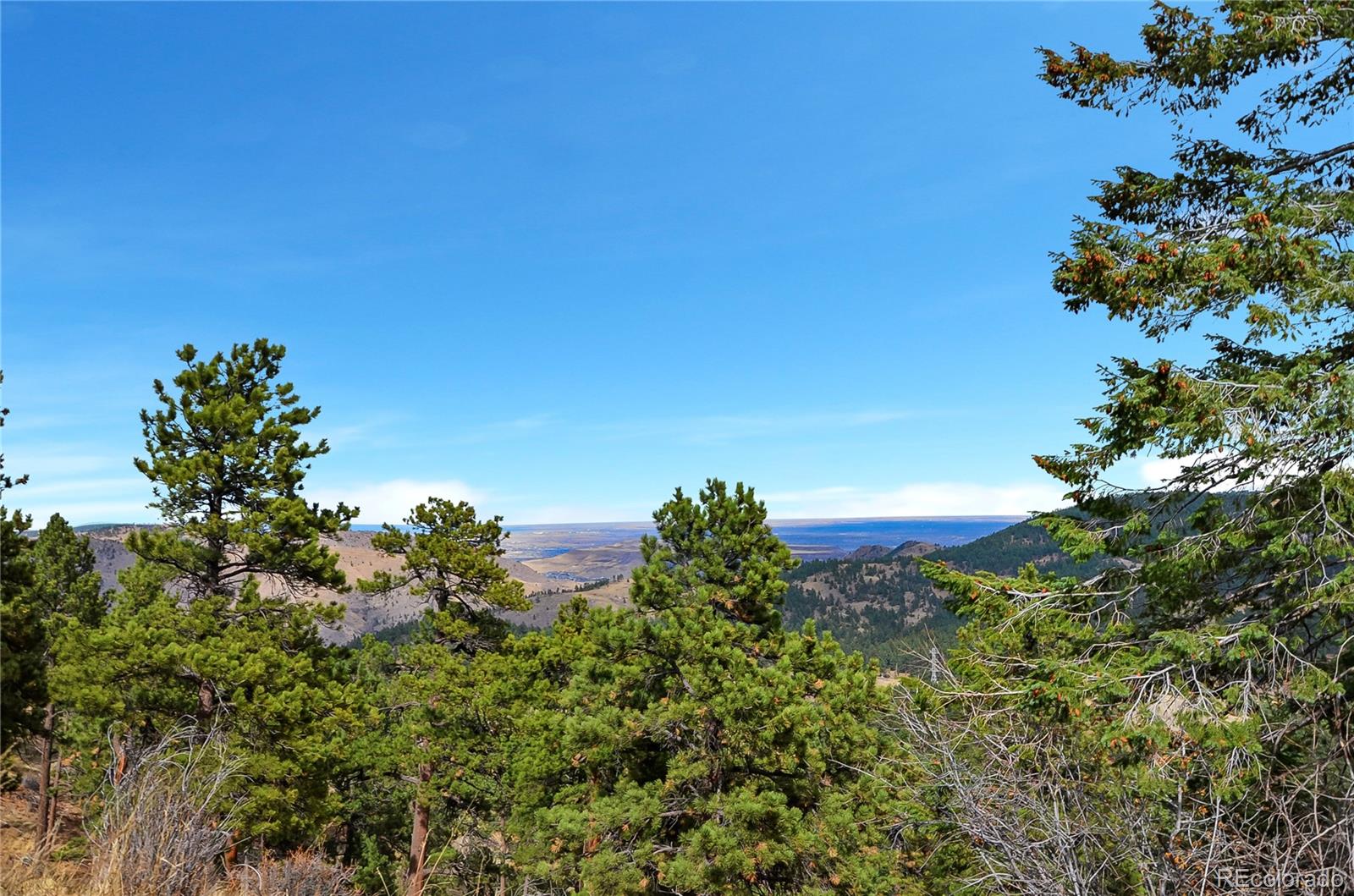 0 Mariposa Vale Golden, CO 80401 - Photo 4 of 16 a view of a bunch of trees and bushes