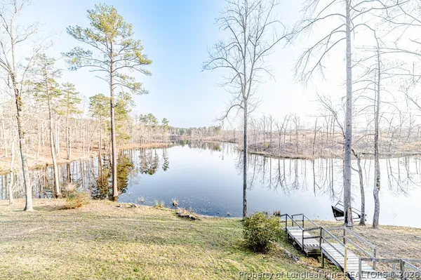 a view of a lake with a large trees