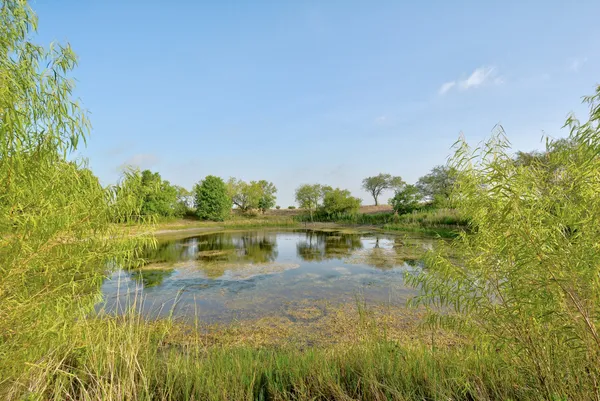 a view of lake with green space