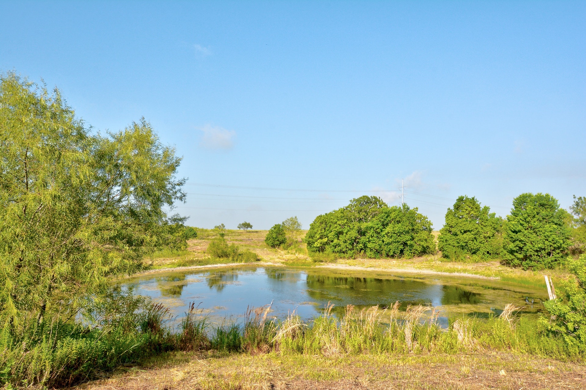 14512 Graef Road Buda, TX 78610 - Photo 4 of 27 Pond onsite