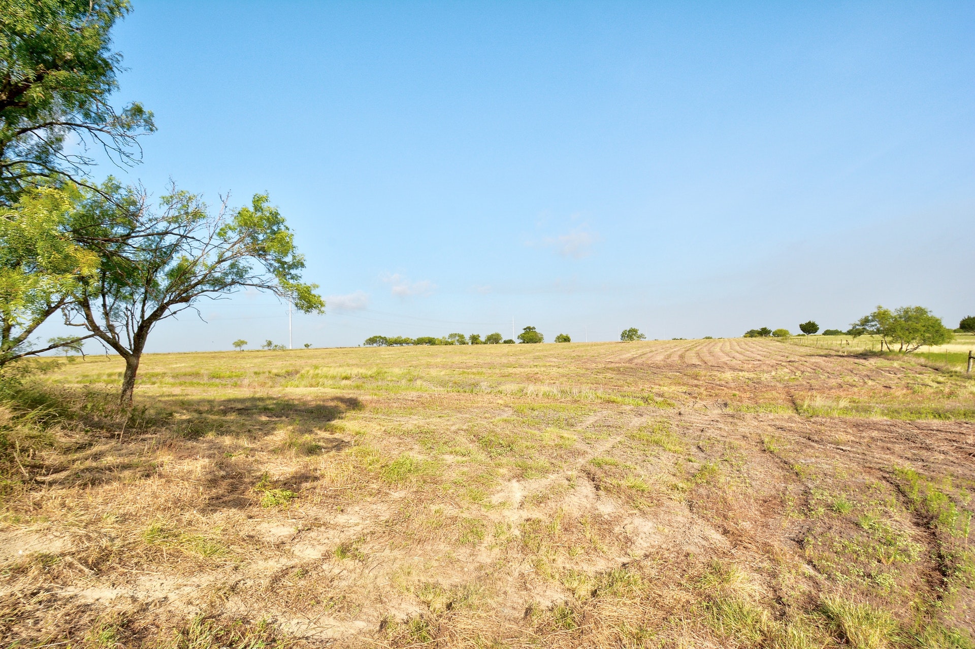 14512 Graef Road Buda, TX 78610 - Photo 5 of 27 Undeveloped land