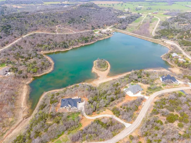a view of a dry plant in a field