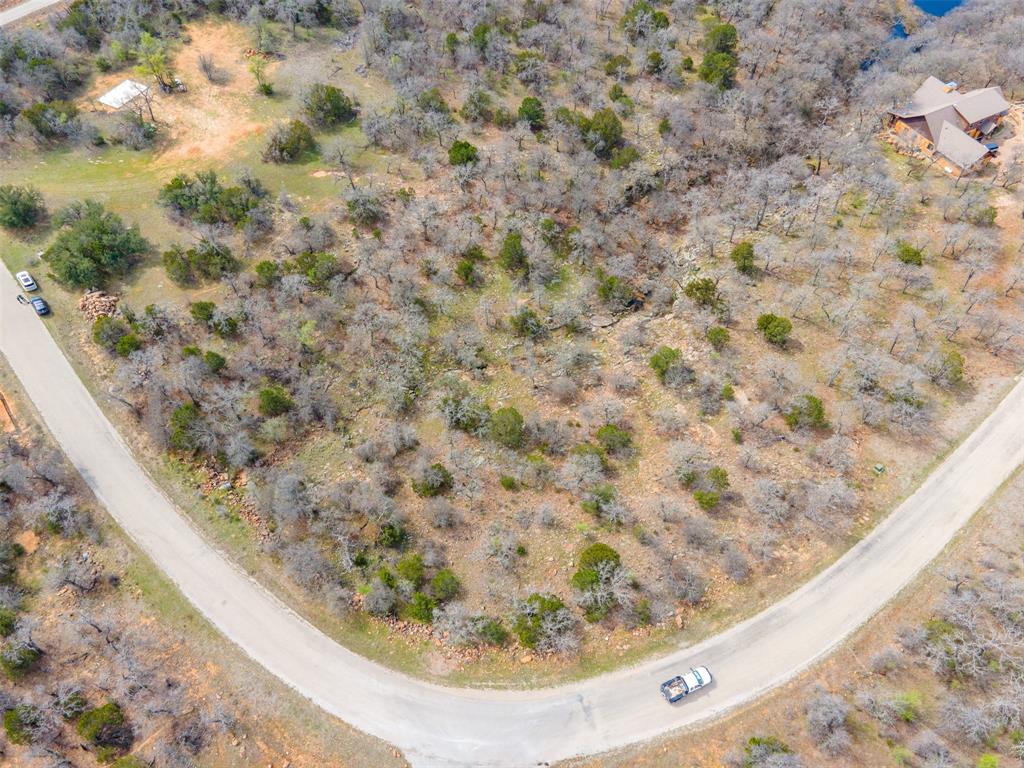 E49 R Art's Way Gordon, TX 76453 - Photo 16 of 26 a view of a dry plant in a field