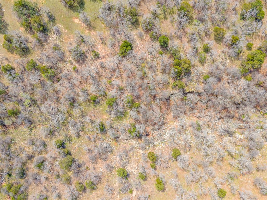E49 R Art's Way Gordon, TX 76453 - Photo 17 of 26 a close up of a plant with a plant