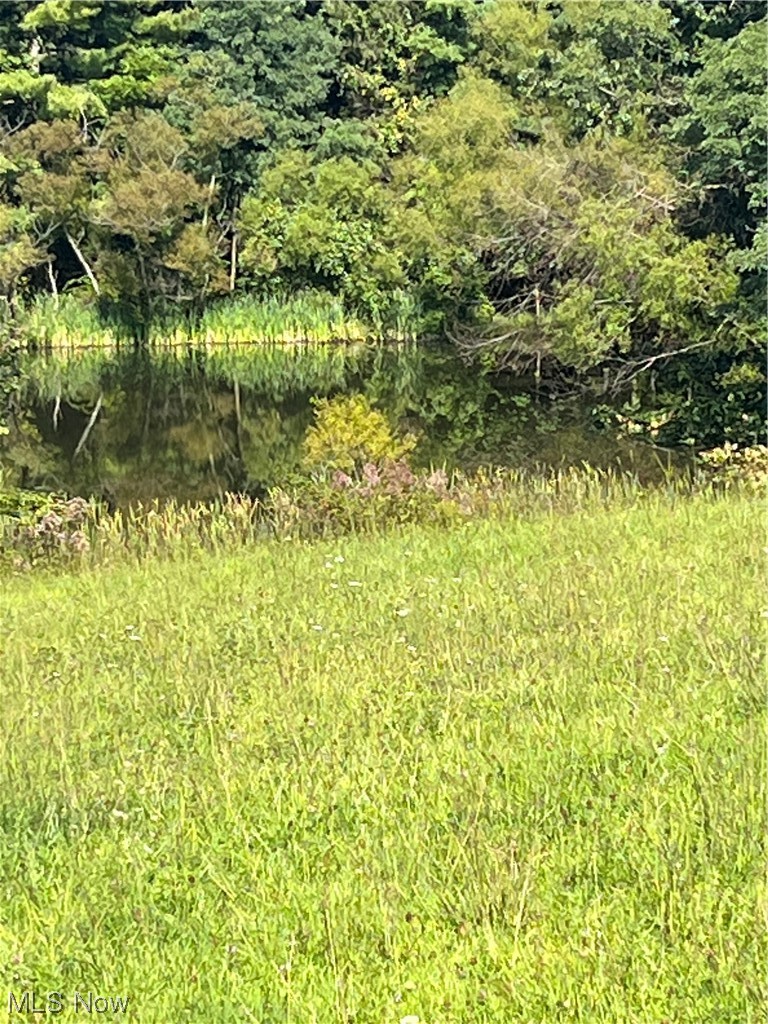 Patch Road New Concord, OH 43762 - Photo 2 of 2 View of Pond