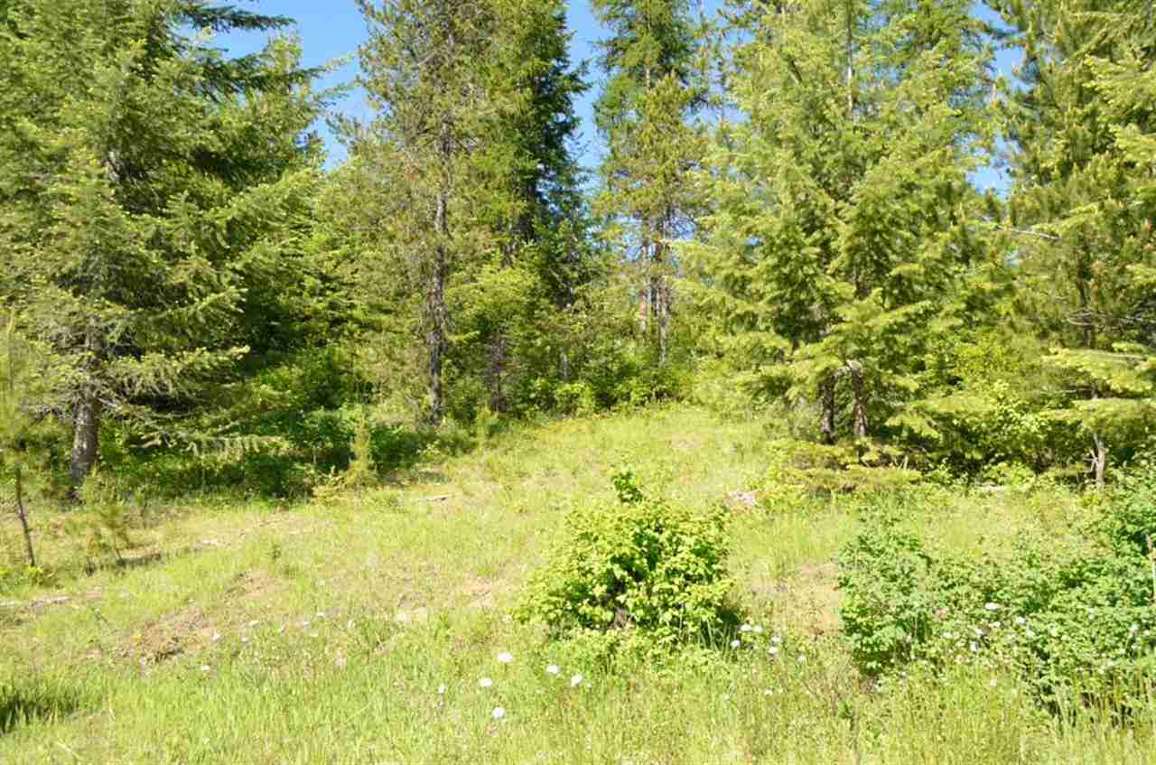 221 Danforth Road Usk, WA 99180 - Photo 16 of 20