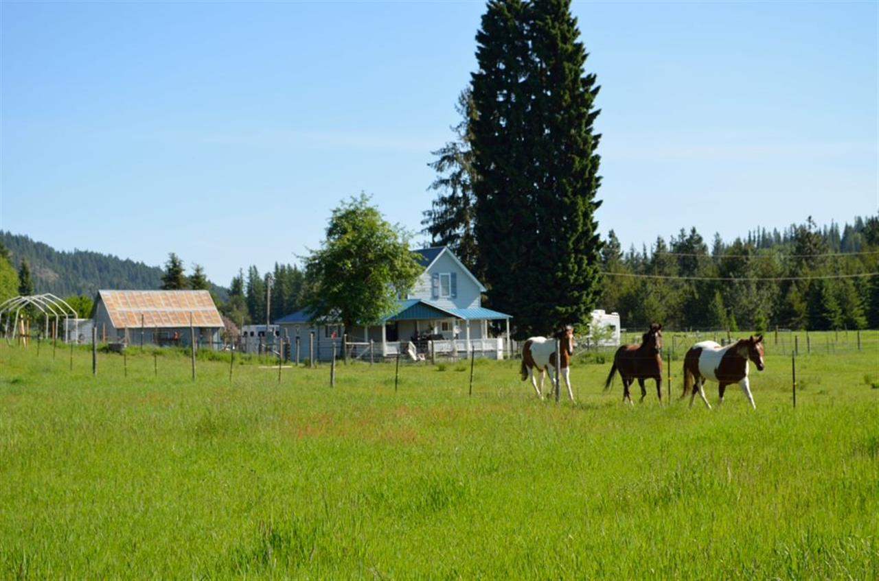 221 Danforth Road Usk, WA 99180 - Photo 18 of 20
