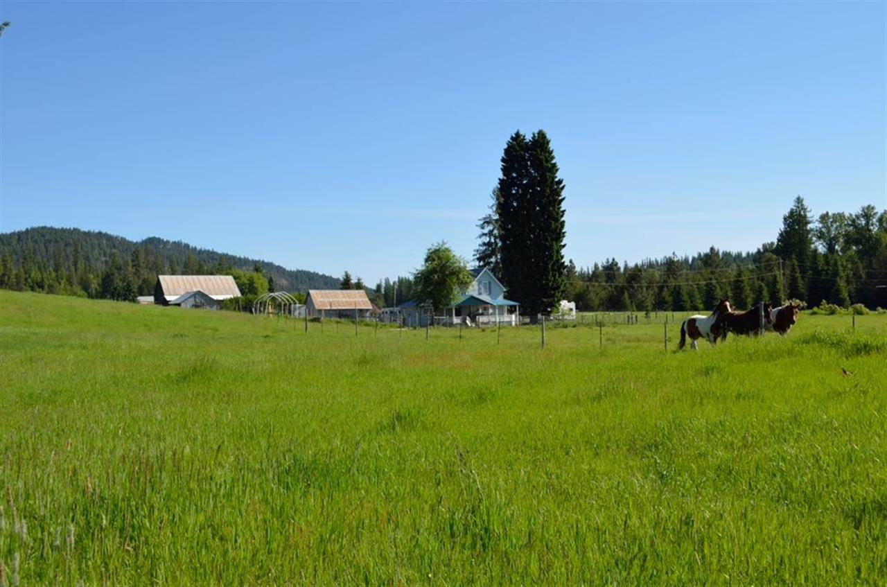221 Danforth Road Usk, WA 99180 - Photo 19 of 20