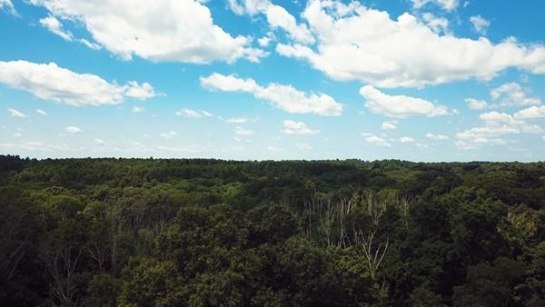 7 Luce Circle Canton, MA 02021 - Photo 5 of 34