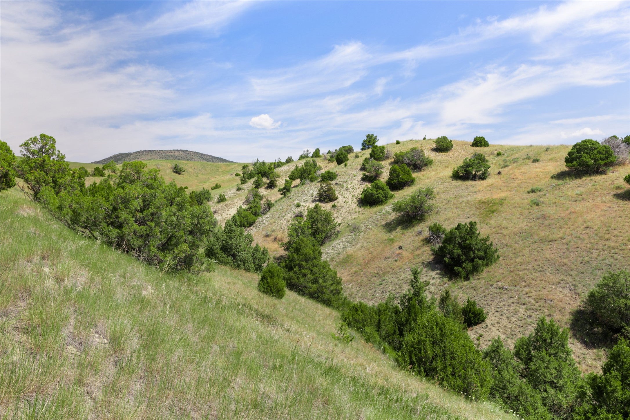 5835 Spaulding Bridge Road Belgrade, MT 59714 - Photo 41 of 100 Gallery Image 41
