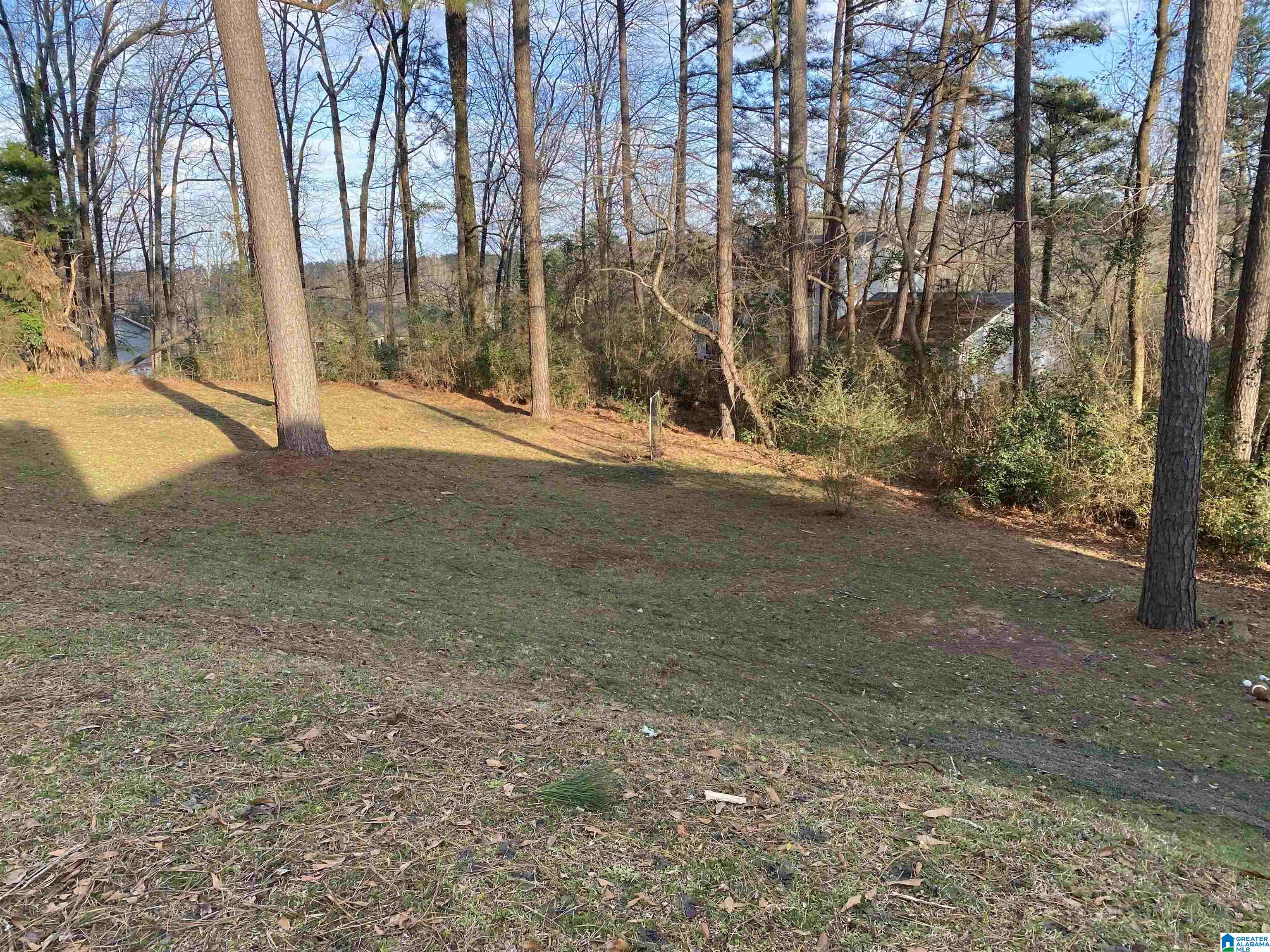 23 Shades Crest Road Birmingham, AL 35226 - Photo 24 of 26