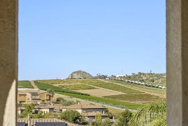 a view of a patio with couches table and chairs under an umbrella with a big yard