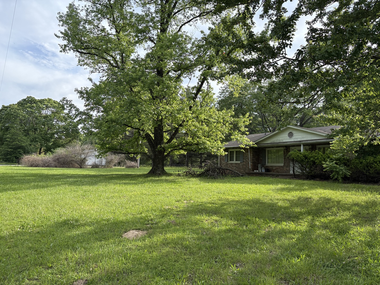 3917 Country Club Road Carbondale, IL 62901 - Photo 32 of 32 a view of a trees in a yard