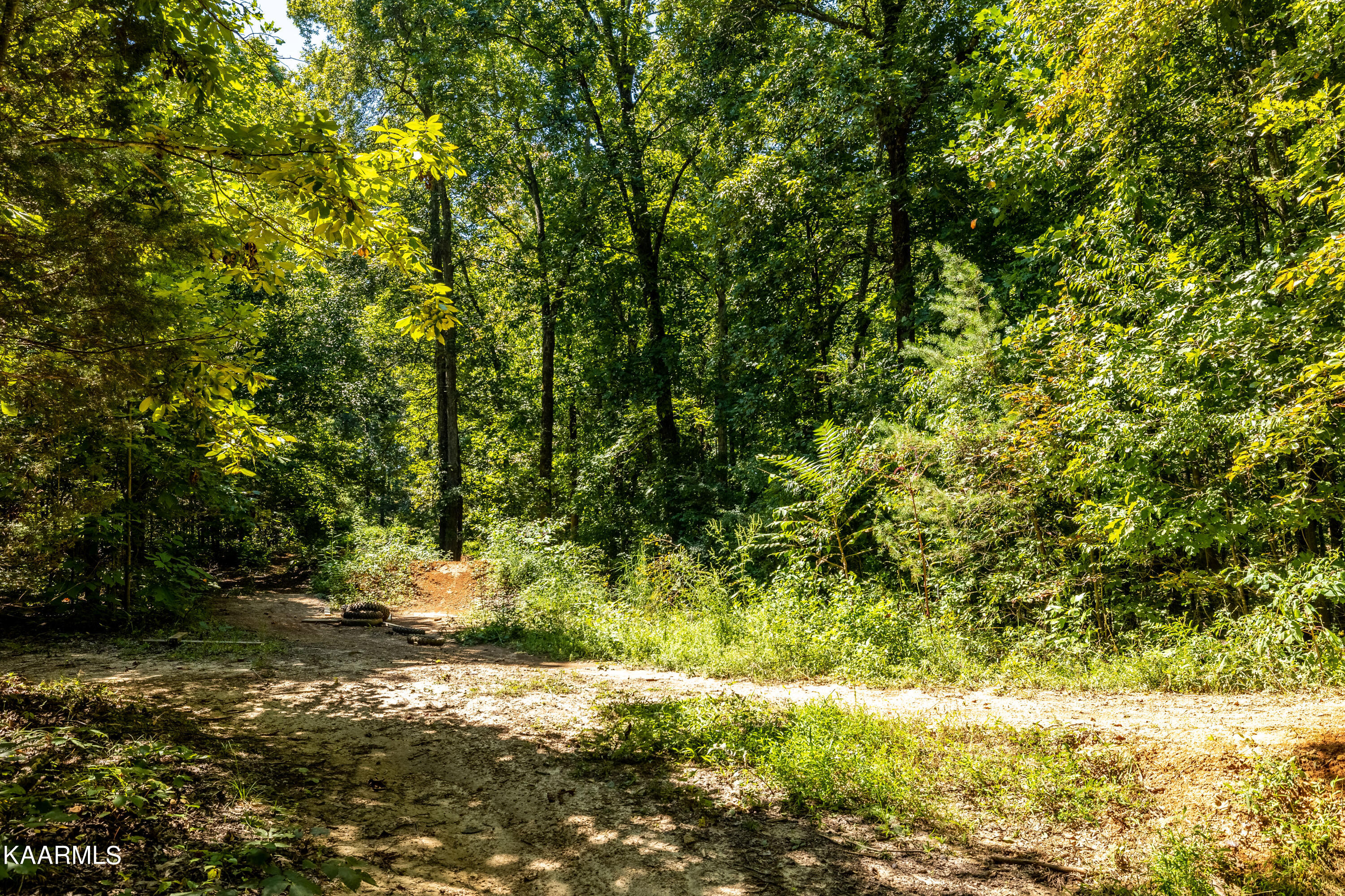 204 Gamble Road Madisonville, TN 37354 - Photo 25 of 29 backyard