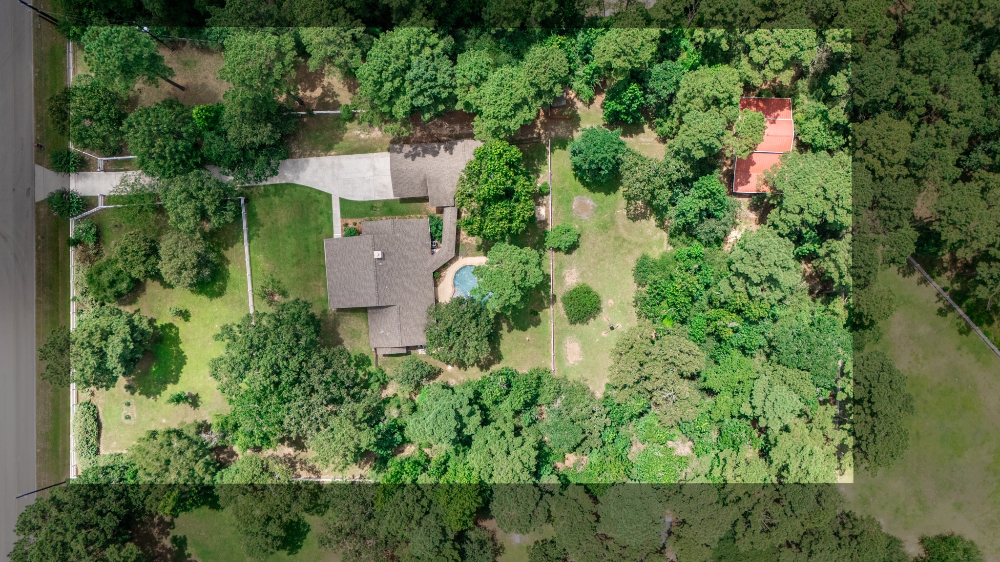 20203 Timber Ridge Drive Magnolia, TX 77355 - Photo 43 of 49 Beautifully wooded property featuring mature trees, expansive fenced grounds, long driveway, in-ground pool, detached outbuilding, and abundant green space. Enjoy exceptional privacy with plenty of room for entertaining, recreation, gardening, or future expansion. A peaceful retreat with park-like surroundings.