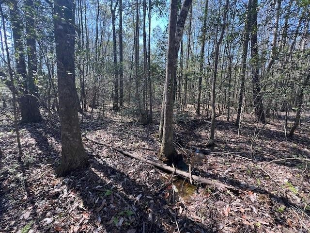 31272 Highway 331 Opp, AL 36467 - Photo 35 of 50 Gallery Image 35