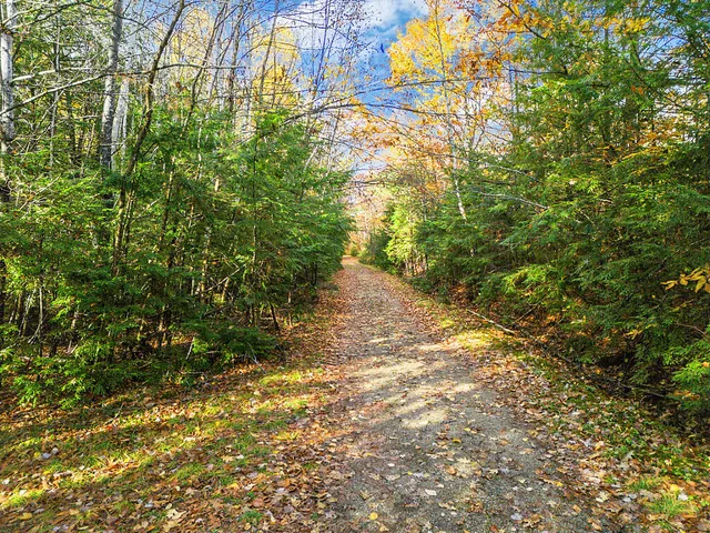 $149,900 | 0 South River Lane, Parsonsfield, ME 04047