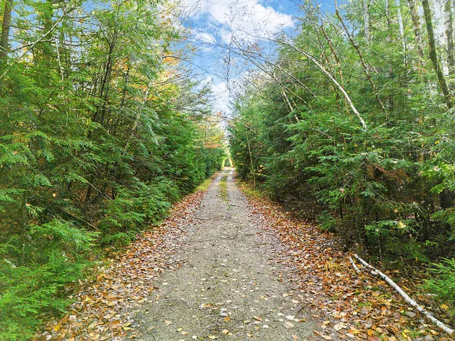 $149,900 | 0 South River Lane, Parsonsfield, ME 04047