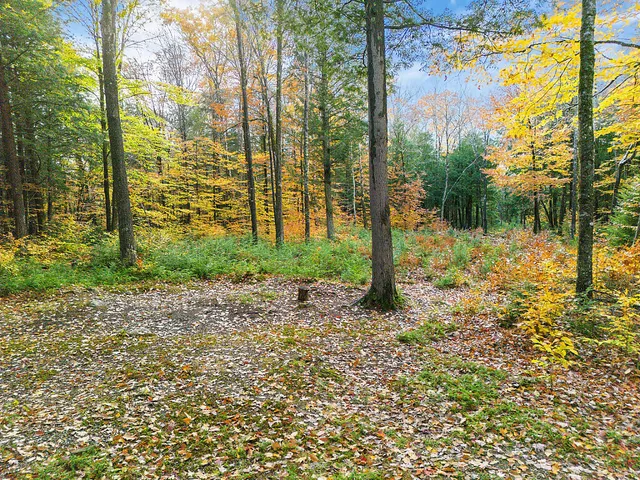 $149,900 | 0 South River Lane, Parsonsfield, ME 04047