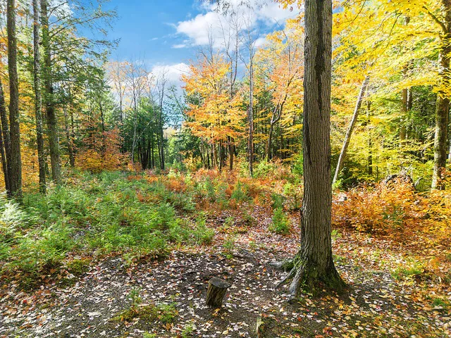 $149,900 | 0 South River Lane, Parsonsfield, ME 04047