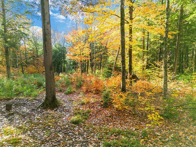 $149,900 | 0 South River Lane, Parsonsfield, ME 04047