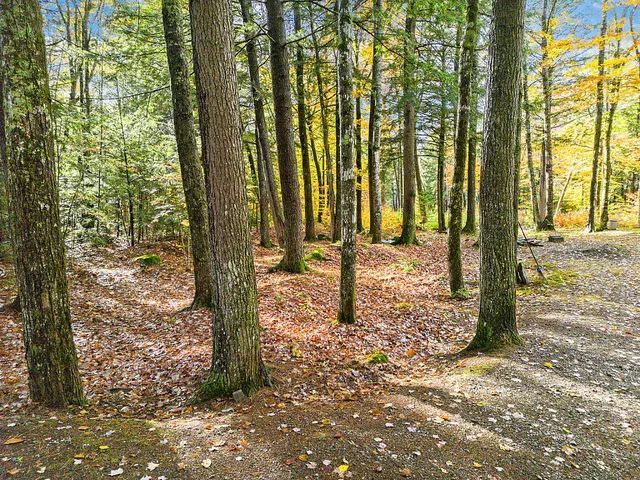 $149,900 | 0 South River Lane, Parsonsfield, ME 04047