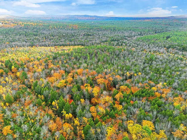 $149,900 | 0 South River Lane, Parsonsfield, ME 04047