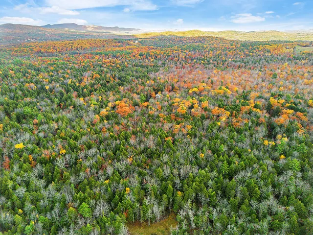 $149,900 | 0 South River Lane, Parsonsfield, ME 04047