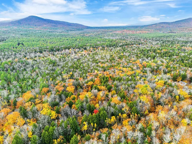 $149,900 | 0 South River Lane, Parsonsfield, ME 04047