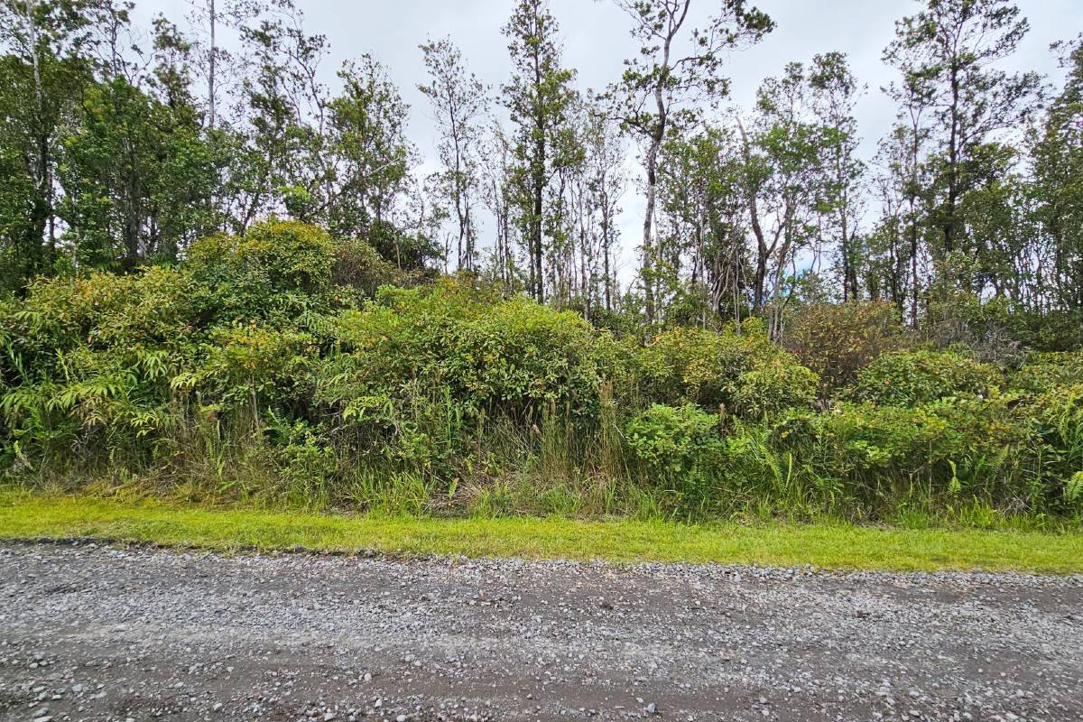 61 Ohialani Road Pahoa, HI 96778 - Photo 1 of 4 Gallery Image 1