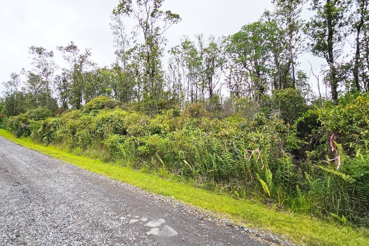 61 Ohialani Road Pahoa, HI 96778 - Photo 2 of 4 Gallery Image 2