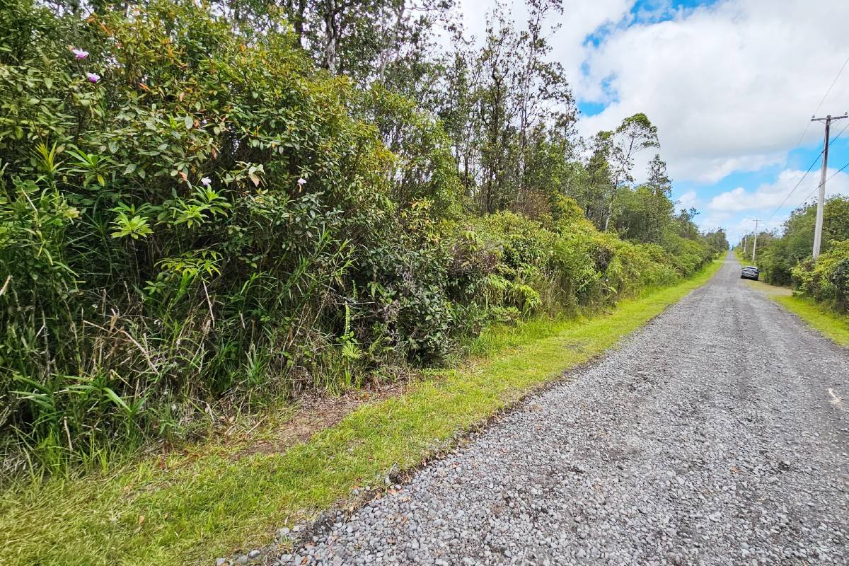 61 Ohialani Road Pahoa, HI 96778 - Photo 4 of 4 Gallery Image 4