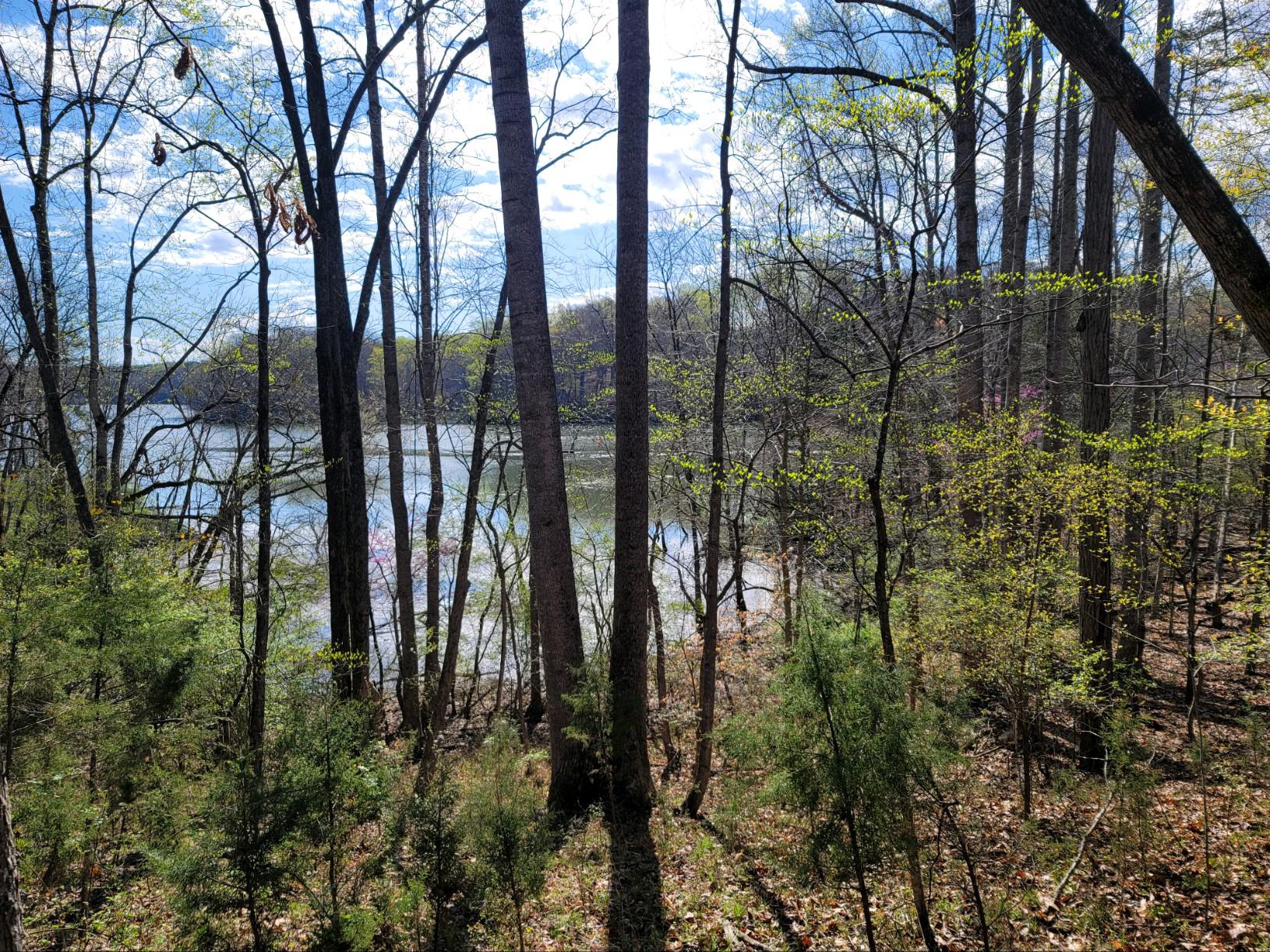 Tolers Ferry Road Pittsville, VA 24139 - Photo 9 of 12 From lot 2