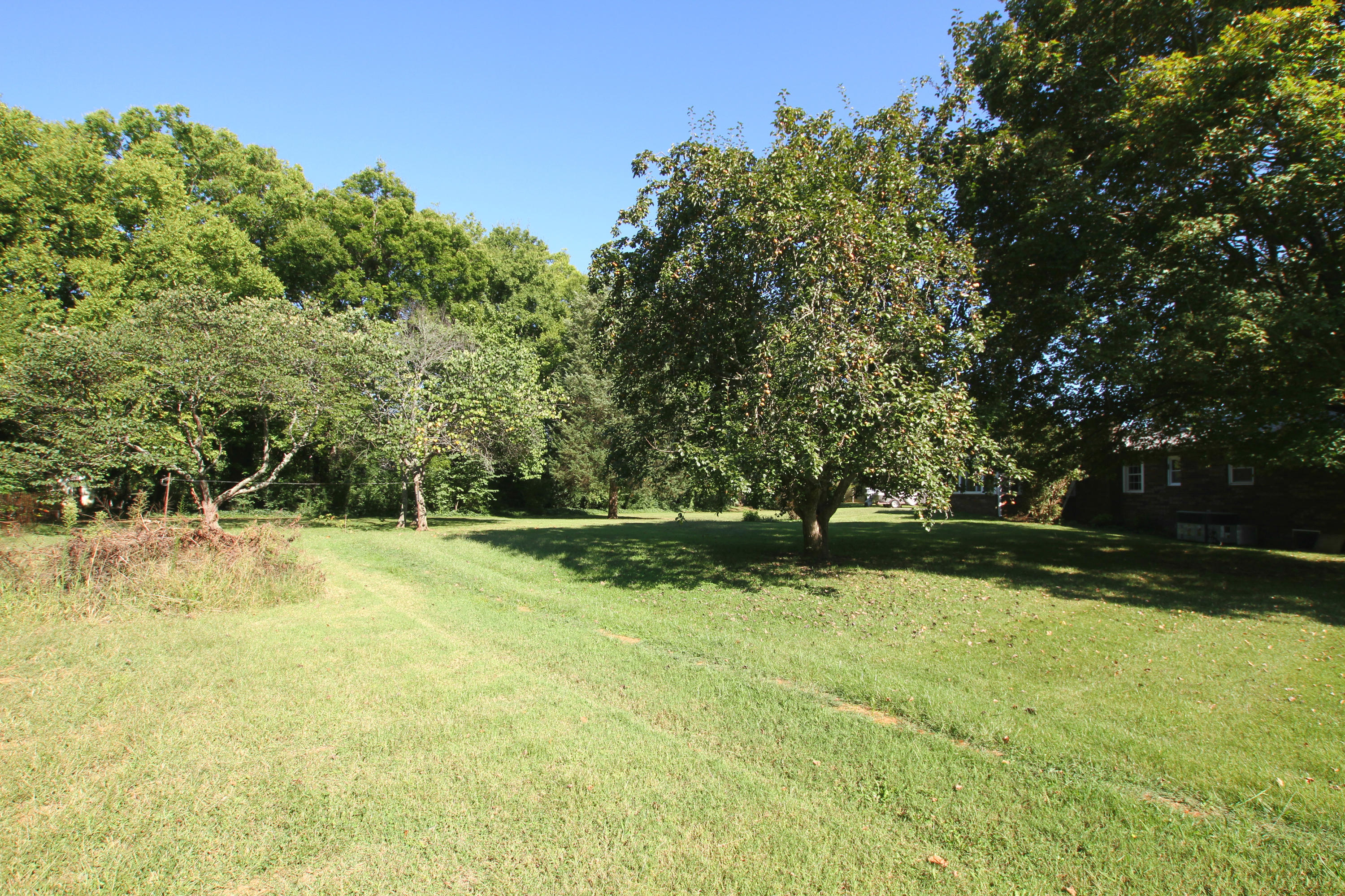 204 Geronimo Road Knoxville, TN 37934 - Photo 24 of 25 Yard