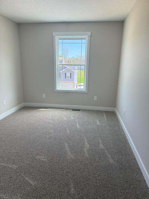 466 Eagle Creek Drive Dry Ridge, KY 41035 - Photo 21 of 32 Gallery Image 21