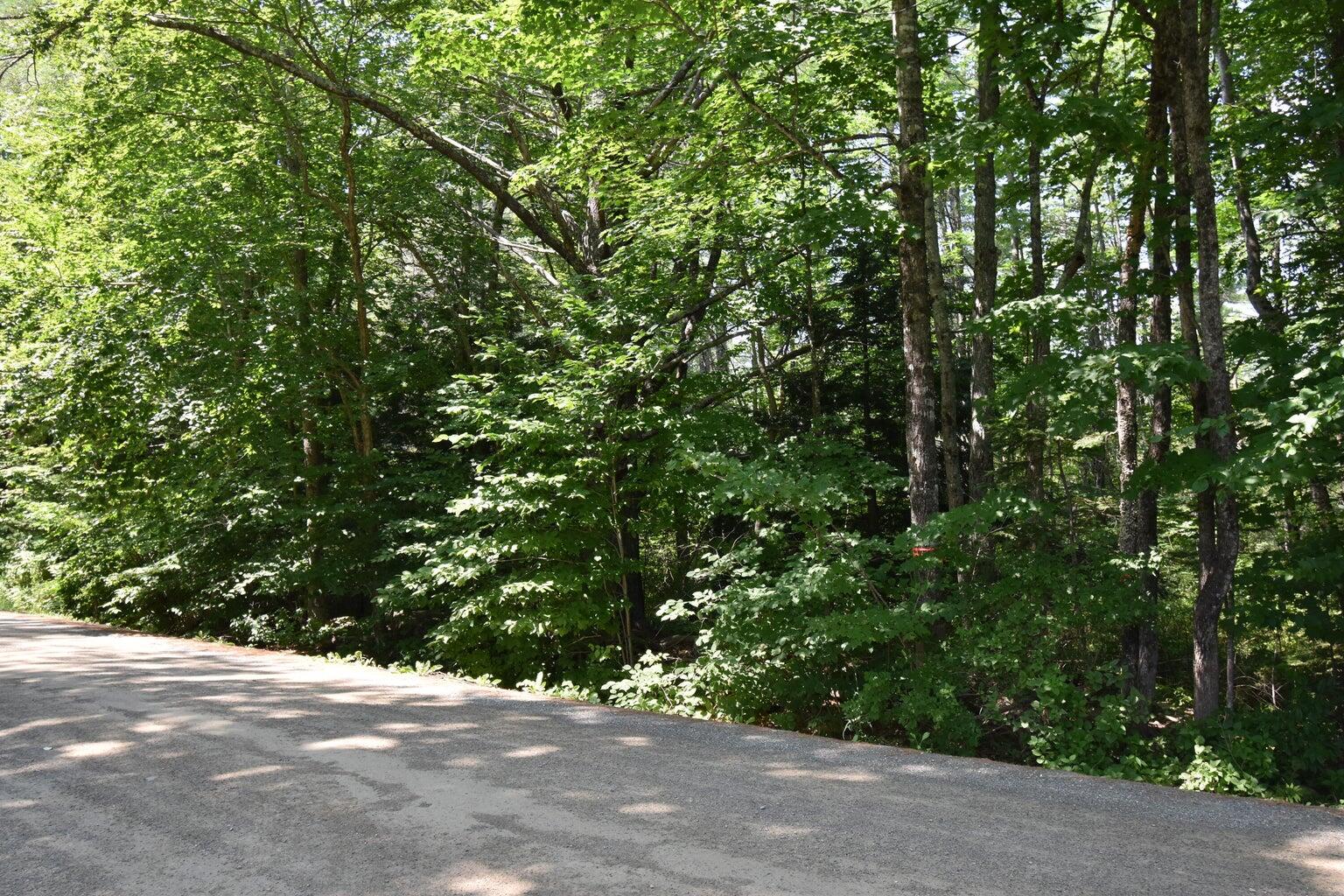 32-1 Parkman Road Garland, ME 04939 - Photo 2 of 3 Land 2