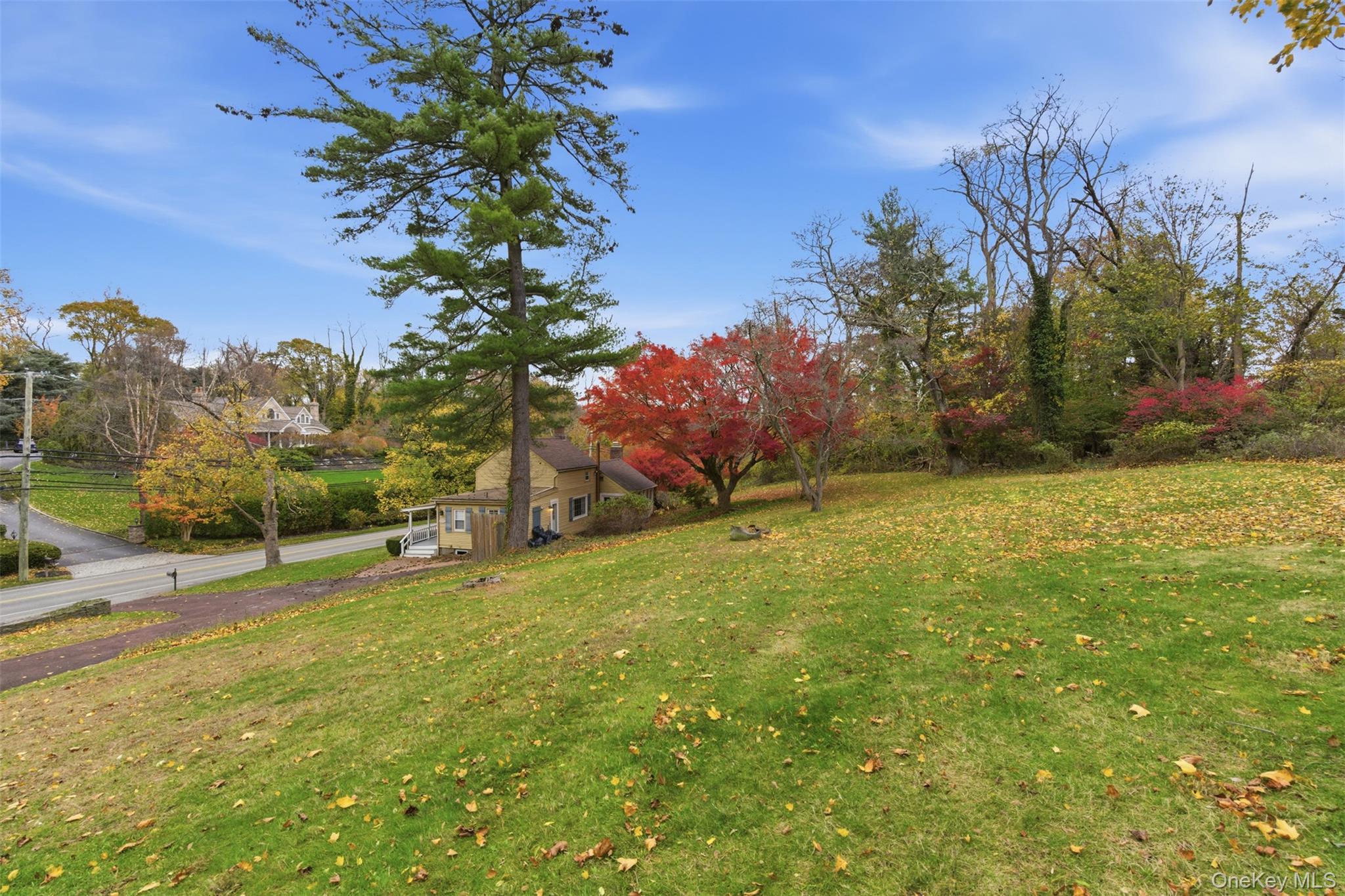 327 West Neck Road Lloyd Harbor, NY 11743 - Photo 15 of 24 a view of a field with a tree