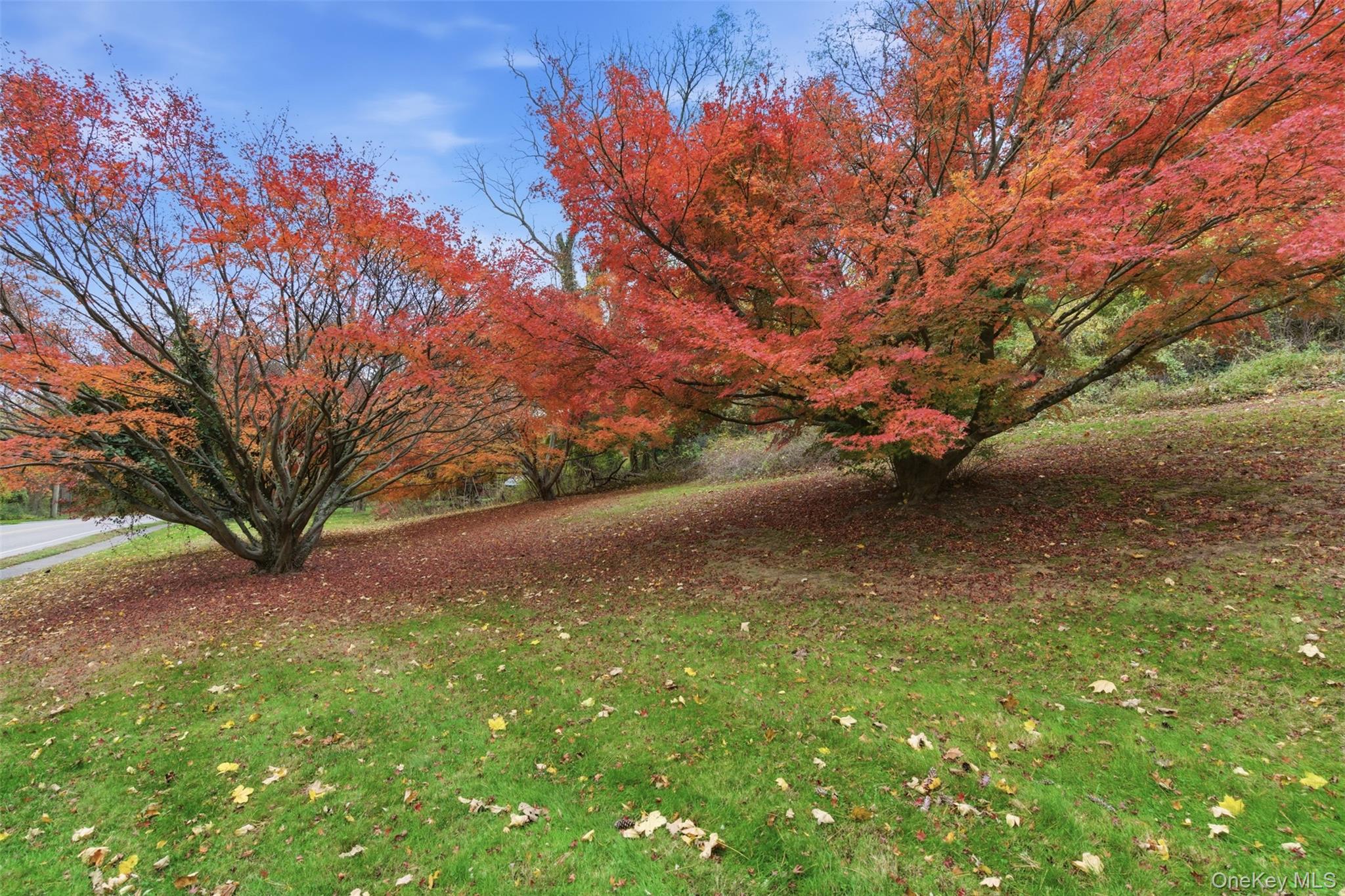 327 West Neck Road Lloyd Harbor, NY 11743 - Photo 24 of 24 a view of a yard