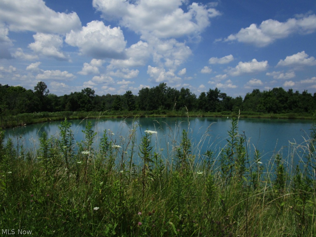 63365 Rosedale Road Salesville, OH 43778 - Photo 24 of 25 Gallery Image 24